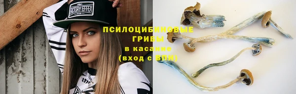 бошки Дмитриев