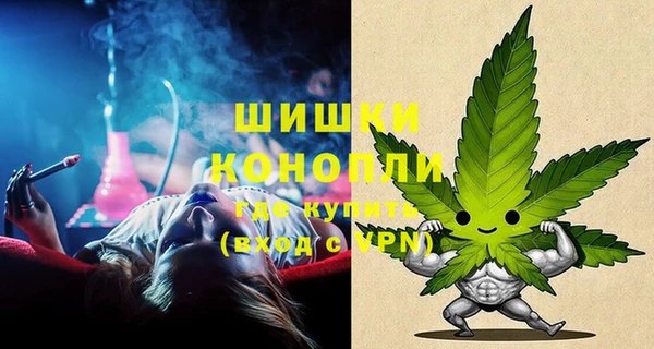 бошки Дмитриев