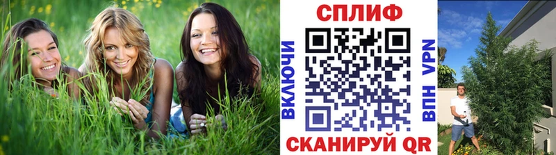 Купить где  Кинешма  Бошки марихуана конопля 